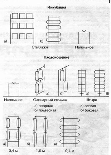 Варианты размещения субстратных блоков